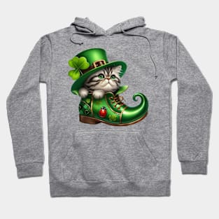 Exotic Shorthair Cat Shoes For Patricks Day Hoodie